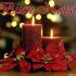 Festivit� Natalizie